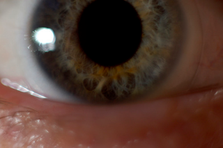 Illustration for article titled Shooting Challenge Freelensing Gallery 2